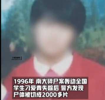 他是谁分集剧情(碎尸案的凶手是谁)