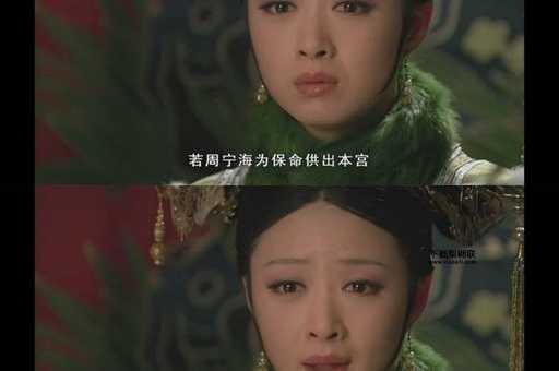 甄嬛传 剧情(  她又为何最终选择离开)