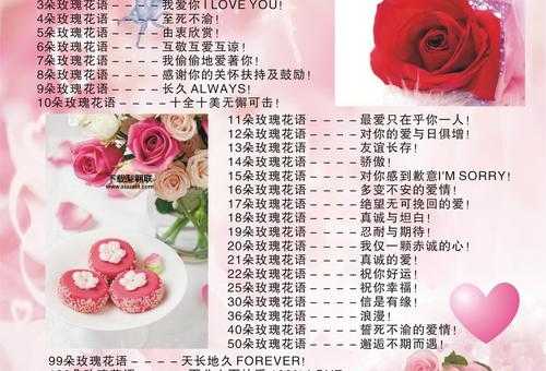 玫瑰花到期了下一句什么意思(这句网络流行语的含义究竟是什么)