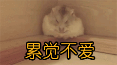 累觉不爱什么意思(不想爱了一样吗)