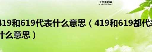 419和619代表什么意思(619代表什么)