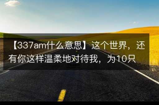 337am什么意思( 还是一段故事)