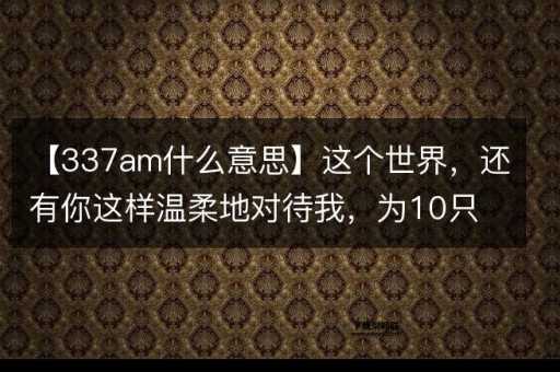 337am什么意思( 还是一段故事)