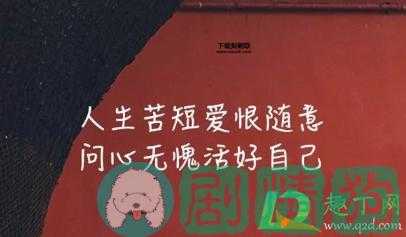 废青是什么意思(  他们只是在用自己的方式发泄吗)