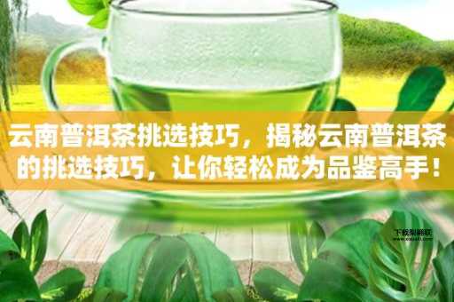 什么是普洱茶(有什么挑选技巧吗)