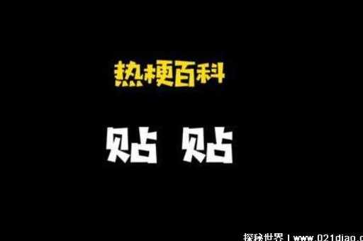 贴贴是什么意思(  它怎么就和亲密联系在一起了)