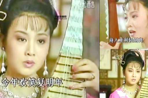 黄梅戏韩再芬孟丽君(韩再芬演绎的孟丽君又有什么特别)