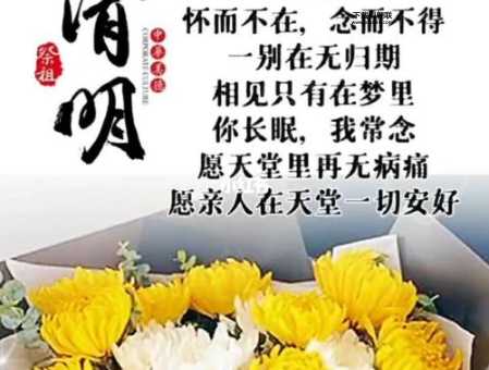 清明节,怀念谁? 清明节,寄哀思?