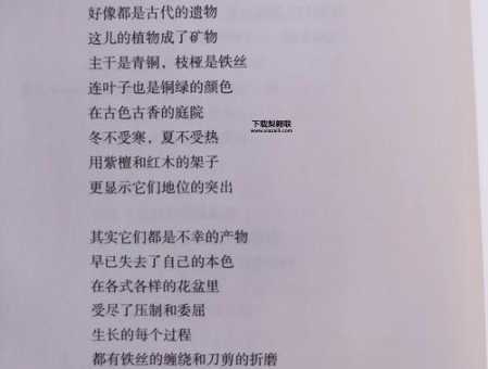 一鸣惊人成语接龙(你能用它来创作一首诗吗)