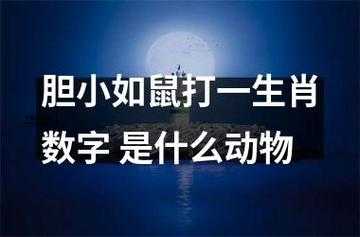 胆小如鼠的意思是什么(是形容人还是形容动物)