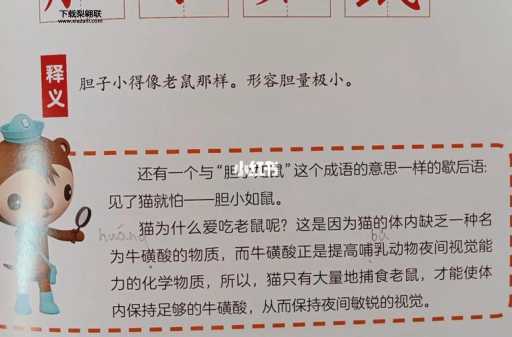 胆小如鼠的意思是什么(是形容人还是形容动物)