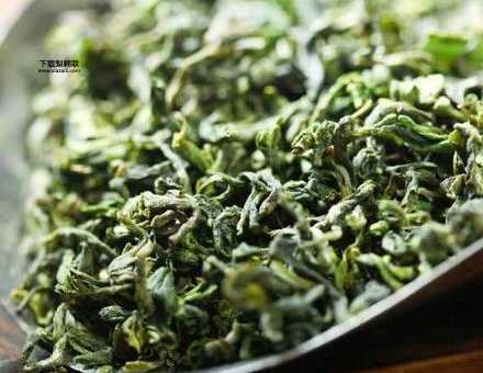 日照绿茶的功效(还能降胆固醇吗)