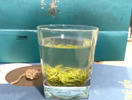 庭山碧螺春(该怎么选购庭山碧螺春)