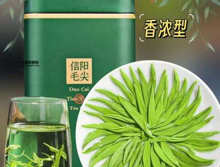 浉河港毛尖(浉河港毛尖你准备入手吗)