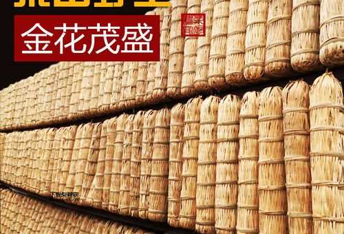 金花百两茶(怎么挑选才正宗)