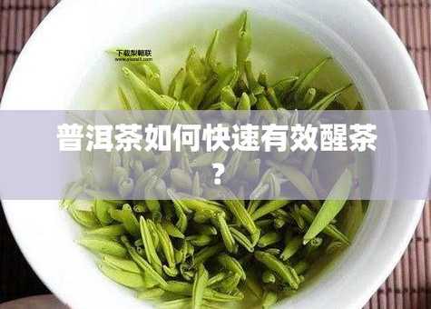普洱茶城网(如何快速上手茶文化)