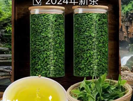 铁观音春茶(你准备怎么品尝它)