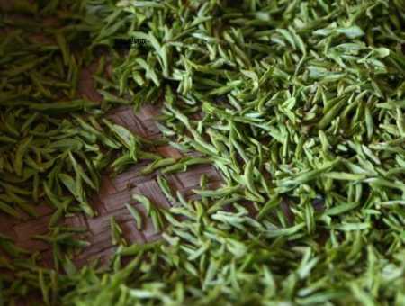 如何炒茶叶(炒茶叶要炒多久才算熟)