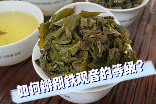 网购铁观音(该从哪款开始)