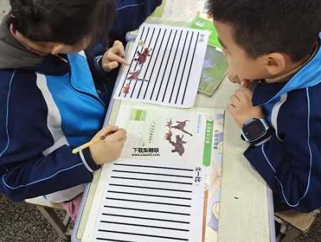 科学小常识小学生应该如何正确用手纸(这可是个大问题)