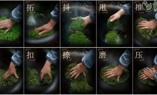 龙井茶简介(它的制作过程有多复杂)