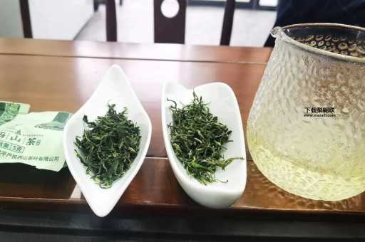 桂平西山茶(能让你感受到历史吗)