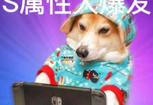 爆发的意思(是同一个意思吗)