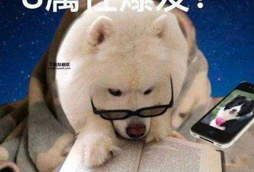 爆发的意思(是同一个意思吗)