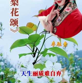 李胜素专辑(哪种版本的梨花颂更让你动心)