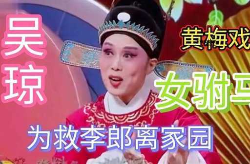 吴琼女驸马(为什么打动了那么多人)