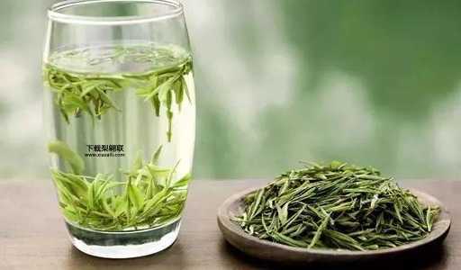 双龙银针的七大功效(它还能抗衰老、抗菌、降血压吗)