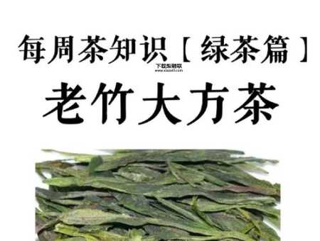 老竹大方的特点与功效(它到底有哪些特别之处)