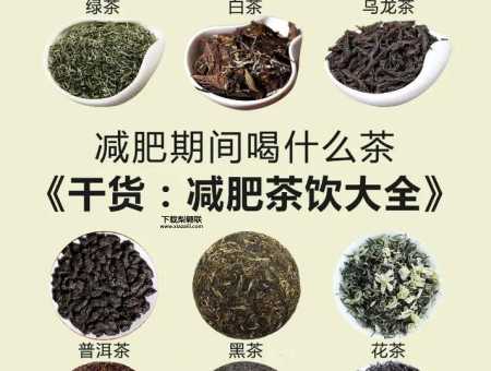 黑茶减肥(  怎么喝才能效果最好)