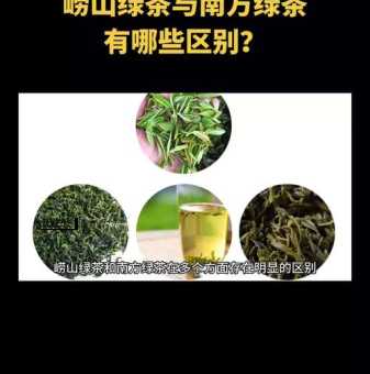 崂山绿茶(  你对崂山绿茶有什么印象)