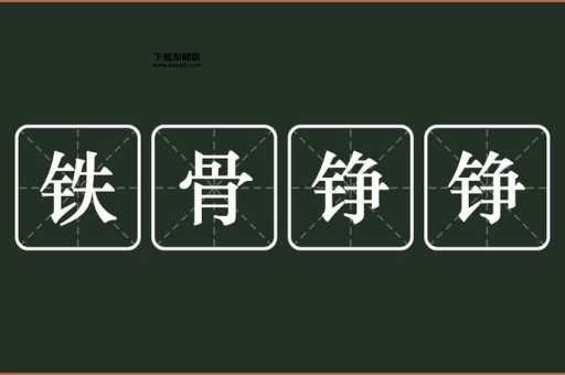 铮铮铁骨的意思是什么(  怎么才能像他们一样)