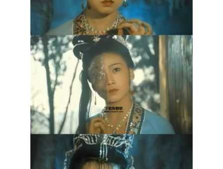 黄梅戏天仙配韩再芬(韩再芬唱出了什么滋味)