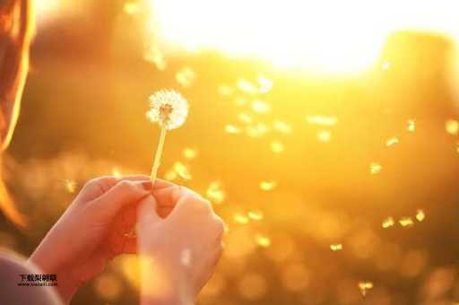 一米阳光是什么意思(它照亮了什么)