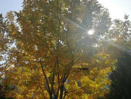 一米阳光是什么意思(它照亮了什么)