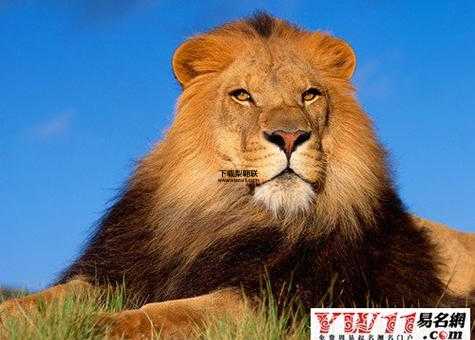 立马追驹什么意思(跟立马追镫一样吗)