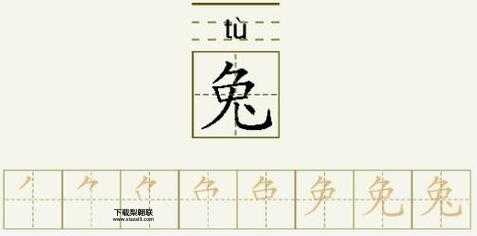兔子的意思如何,读音怎么读( 它到底是什么意思呢)