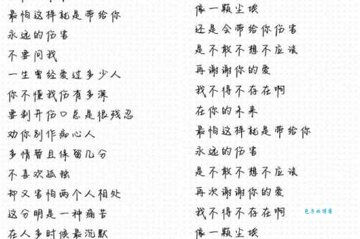 我终于可以不再爱你了歌词哪里最打动你?分享你的感受!