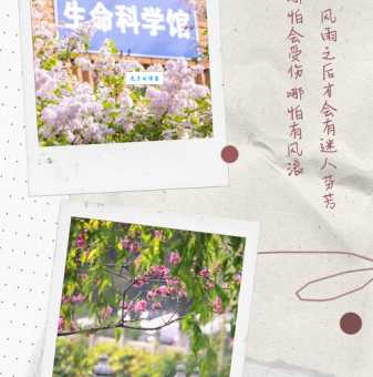 我的太阳歌词原来这么美!你被哪句歌词打动了?