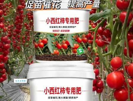 西红柿追肥用什么肥料效果好？教你科学追肥西红柿！