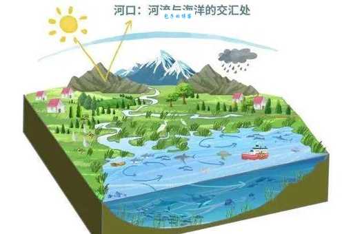 “海洋生态系统类型不包括”这个说法对不对？答案来了！