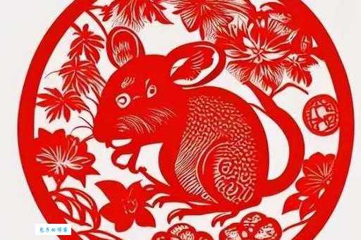 贪婪成性是什么生肖(你能猜出来吗)