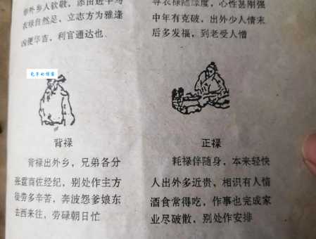 人财两失打一动物(哪个生肖的人容易人财两失)