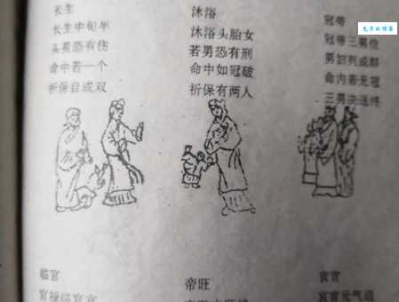 人财两失打一动物(哪个生肖的人容易人财两失)
