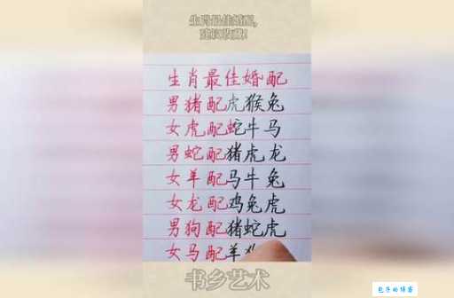 恣行无忌最佳生肖案(哪个生肖最敢于挑战规则)