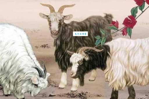 五里云雾打一生肖是什么？原来是这个动物！