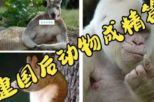 揭秘!阴曹地府的动物是什么生肖?结果出炉!